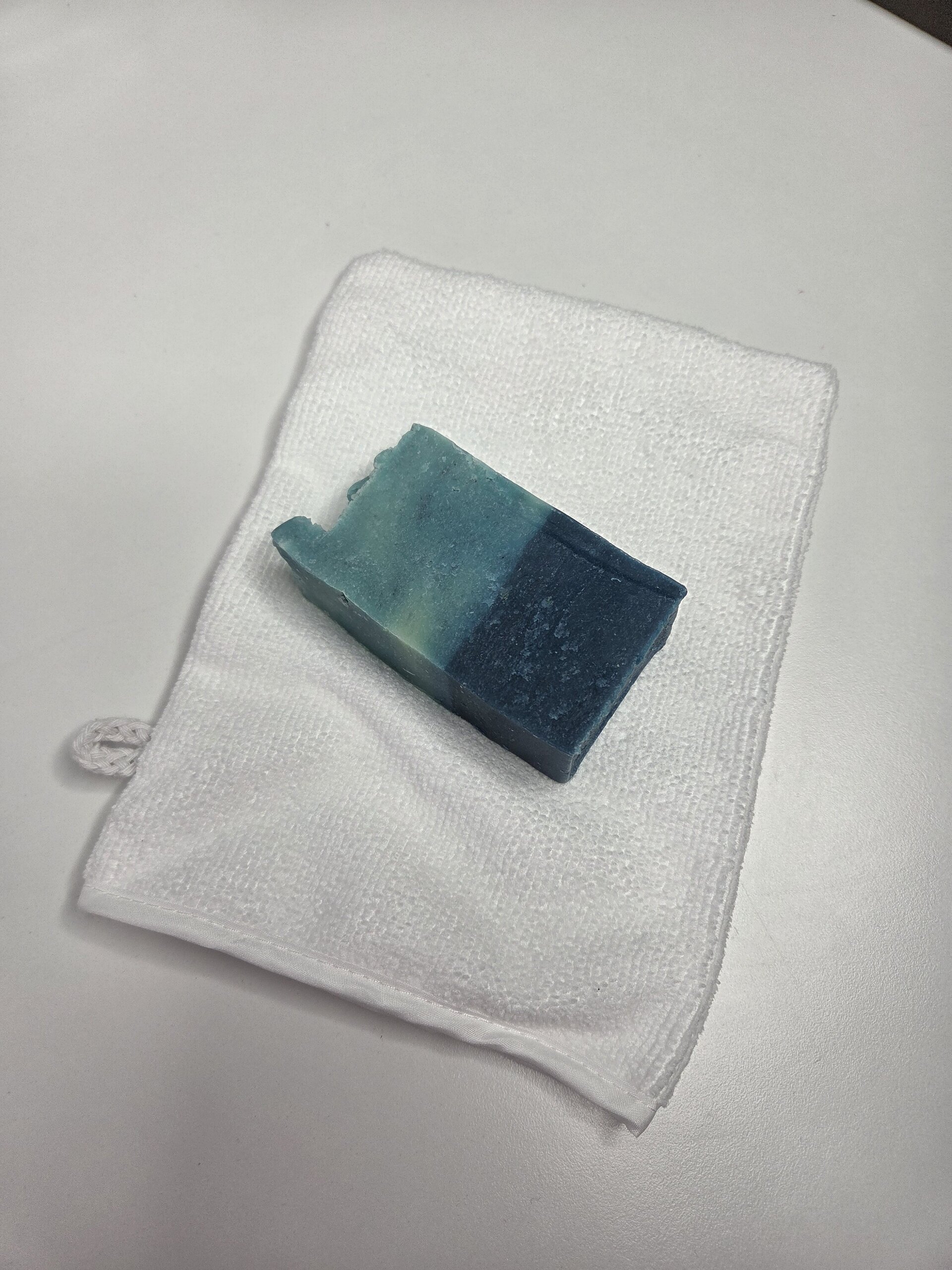 MANOPLA MICROFIBRA - 2